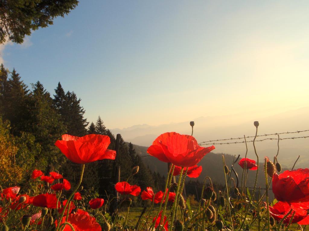 Hotel Garni Gaestehaus Karin Sankt Stefan im Lavanttal Εξωτερικό φωτογραφία