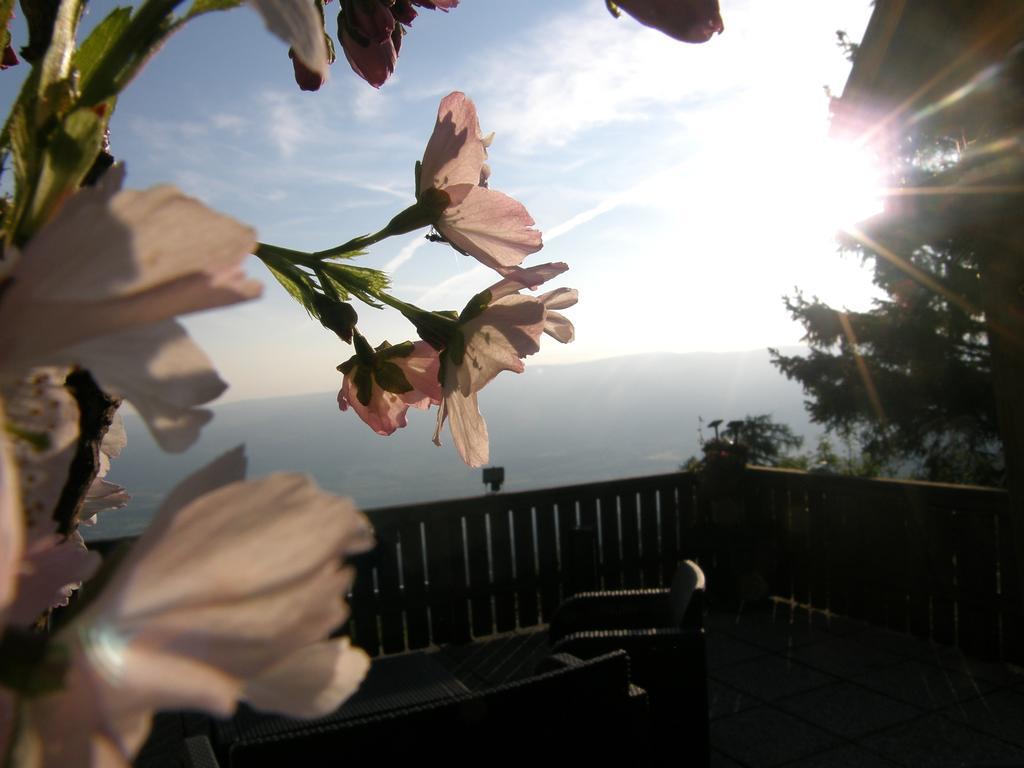 Hotel Garni Gaestehaus Karin Sankt Stefan im Lavanttal Εξωτερικό φωτογραφία