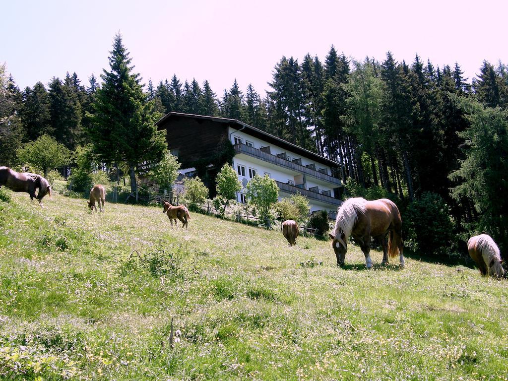 Hotel Garni Gaestehaus Karin Sankt Stefan im Lavanttal Εξωτερικό φωτογραφία